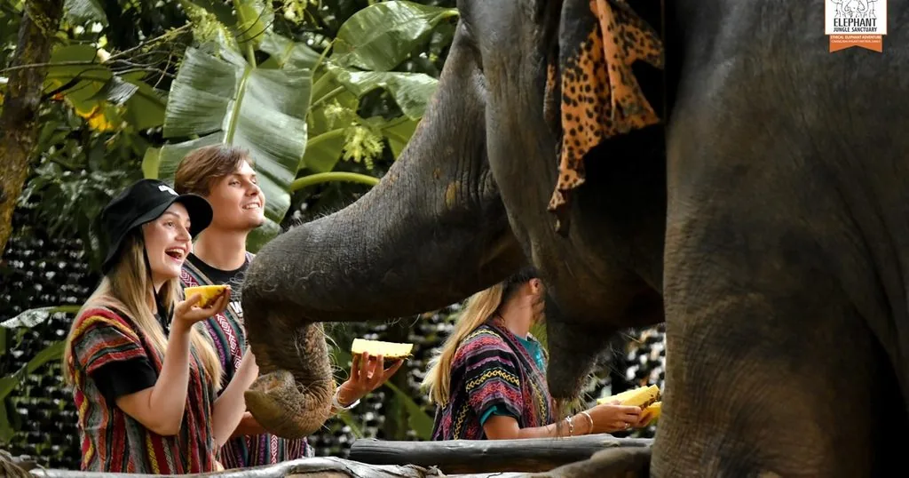 Phuket: Elephant Jungle Sanctuary Ethical Feeding Experience